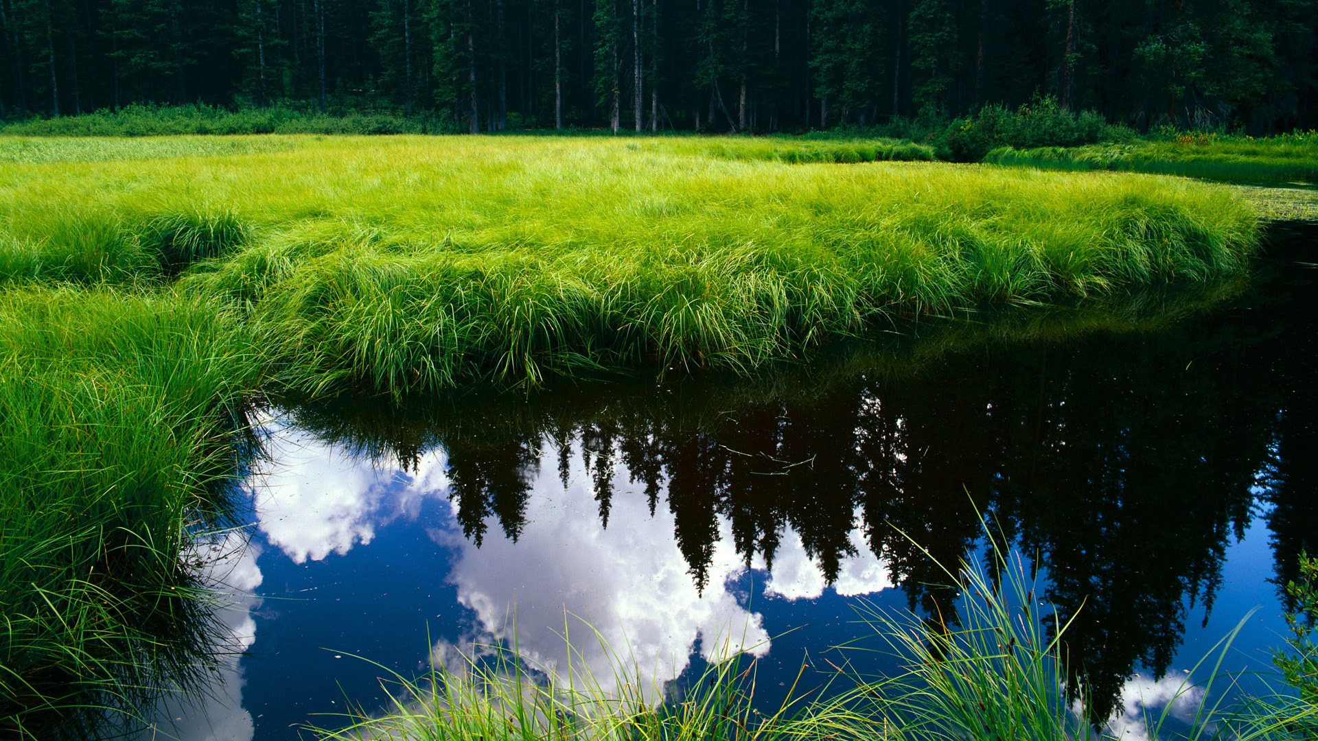 九游-“新时代的经典对决，观众血脉贲张，回味无穷”，时代新篇