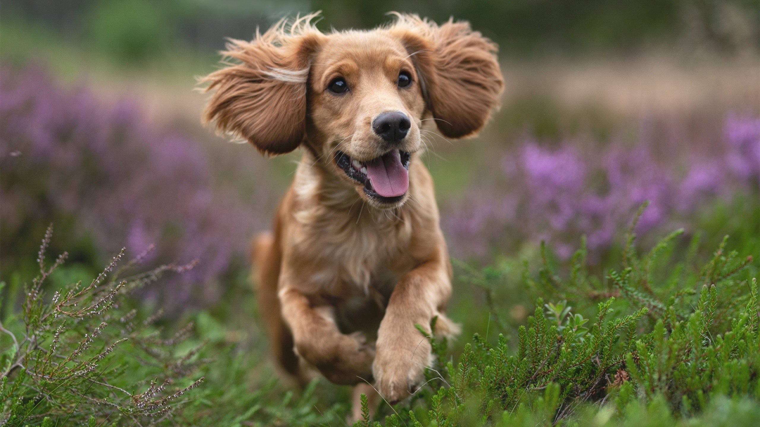 《电竞产业链全揭秘：从硬件制造到内容发行》，电竞产业构成