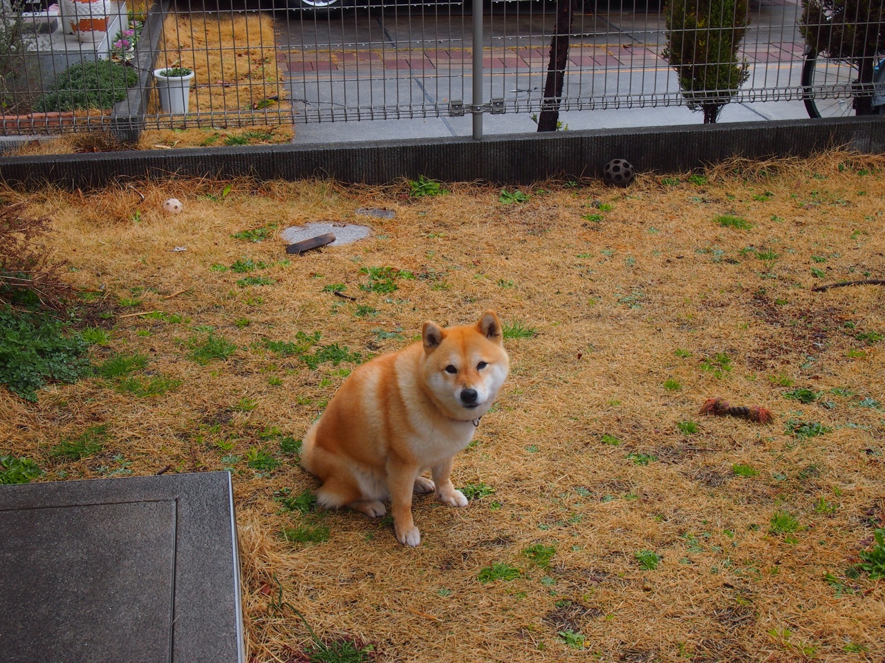 【夺冠心得】丁俊晖：用训练打磨攻防的精细艺术，丁俊晖发力