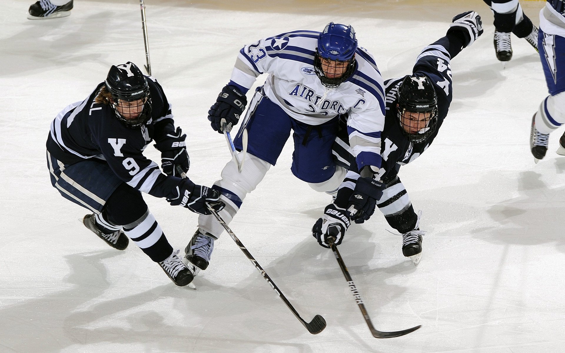 体育新闻中心赛季焦点对话，体育新闻赛事