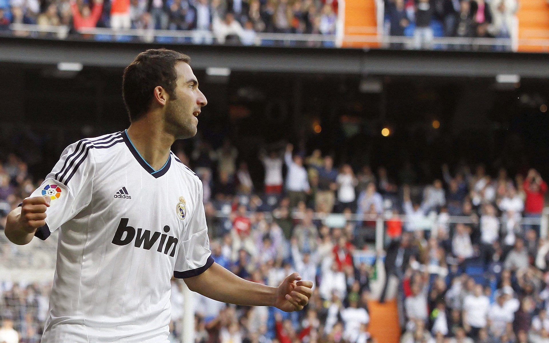 数据显示技术动作逐步国际化，数据显示技术动作逐步国际化的原因